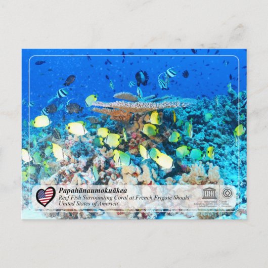 UNESCO - Papahānaumokuākea - Franstalige voetbalsc Briefkaart (Voorkant)