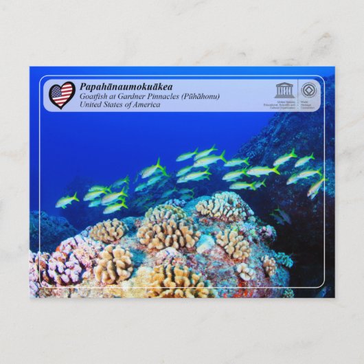 UNESCO - Papahānaumokuākea - Gardner Pinnacles Briefkaart (Voorkant)