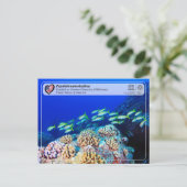 UNESCO - Papahānaumokuākea - Gardner Pinnacles Briefkaart (Staand voorkant)