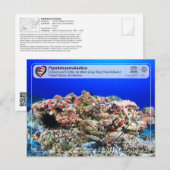 UNESCO - Papahānaumokuākea - Maro Reef Briefkaart (Voorkant / Achterkant)