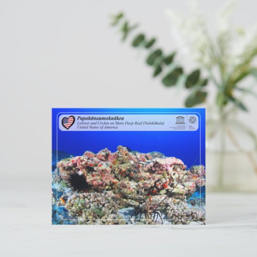 UNESCO - Papahānaumokuākea - Maro Reef Briefkaart (Staand voorkant)