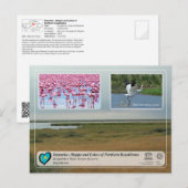 Unesco - Saryarka Korgalzhyn staatsreserve Natuur Briefkaart (Voorkant / Achterkant)