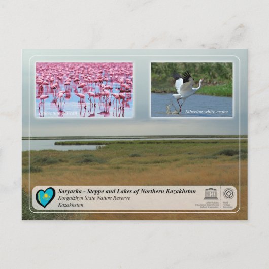 Unesco - Saryarka Korgalzhyn staatsreserve Natuur Briefkaart (Voorkant)