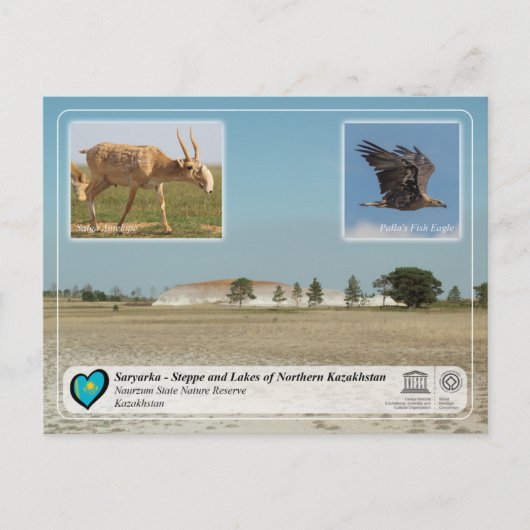 UNESCO - Saryarka - Reserve voor de Natuur van de  Briefkaart (Voorkant)