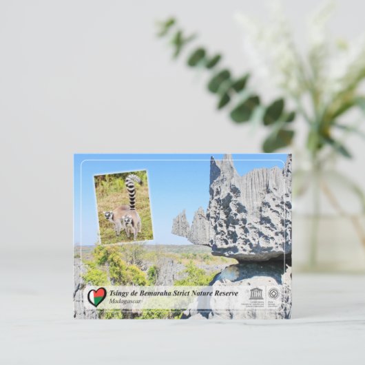 UNESCO - Tsingy de Bemaraha Strict Nature Reserve Briefkaart (Staand voorkant)