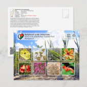 UNESCO WHS - Atsinanana - Nationaal Park Andohahel Briefkaart (Voorkant / Achterkant)