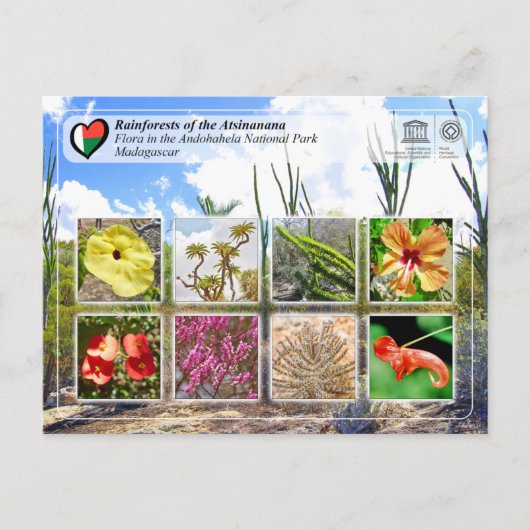 UNESCO WHS - Atsinanana - Nationaal Park Andohahel Briefkaart (Voorkant)