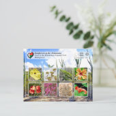 UNESCO WHS - Atsinanana - Nationaal Park Andohahel Briefkaart (Staand voorkant)