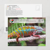 UNESCO WHS - Atsinanana - Nationaal Park Masoala Briefkaart (Voorkant / Achterkant)