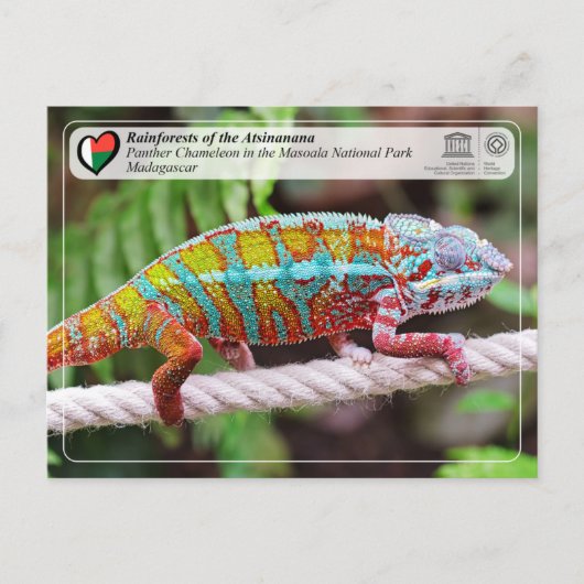 UNESCO WHS - Atsinanana - Nationaal Park Masoala Briefkaart (Voorkant)