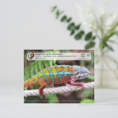 UNESCO WHS - Atsinanana - Nationaal Park Masoala Briefkaart (Staand voorkant)