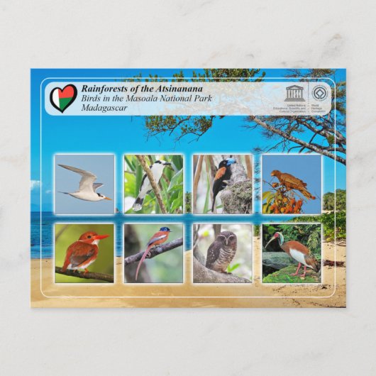 UNESCO WHS - Atsinanana - Nationaal Park Masoala Briefkaart (Voorkant)