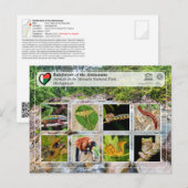 UNESCO WHS - Atsinanana - Nationaal Park Masoala Briefkaart (Voorkant / Achterkant)