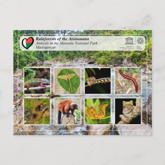 UNESCO WHS - Atsinanana - Nationaal Park Masoala Briefkaart (Voorkant)