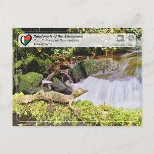 UNESCO WHS - Atsinanana - Nationaal Park Ranomafan Briefkaart
