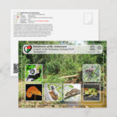 UNESCO WHS - Atsinanana - Nationaal Park Zahamena Briefkaart (Voorkant / Achterkant)
