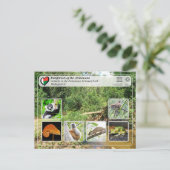 UNESCO WHS - Atsinanana - Nationaal Park Zahamena Briefkaart (Staand voorkant)