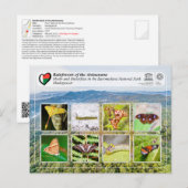 UNESCO WHS - Atsinanana - Ranomafana National Park Briefkaart (Voorkant / Achterkant)