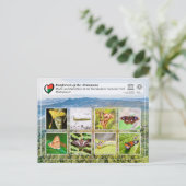 UNESCO WHS - Atsinanana - Ranomafana National Park Briefkaart (Staand voorkant)