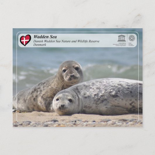 UNESCO WHS - Danish Wadden Zee Briefkaart (Voorkant)