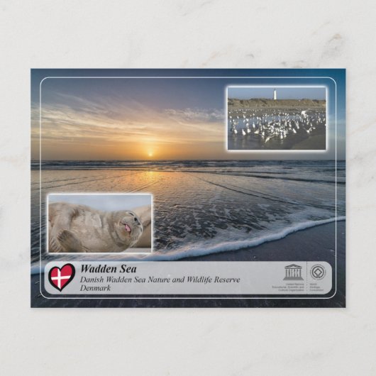 UNESCO WHS - Danish Wadden Zee Briefkaart (Voorkant)