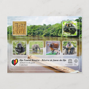 UNESCO WHS - Dja Faunal Reserve Briefkaart