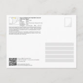 UNESCO WHS - Ekain Grot / Cueva de Ekain Briefkaart (Achterkant)