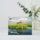 UNESCO WHS - Everglades National Park Briefkaart (Staand voorkant)