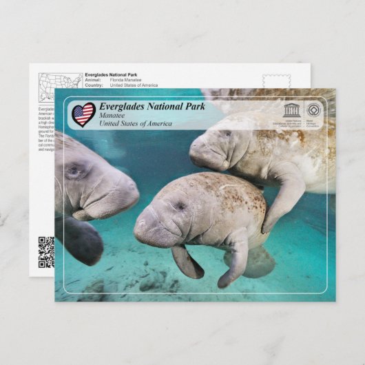 UNESCO WHS - Everglades National Park - Manatee Briefkaart (Voorkant / Achterkant)
