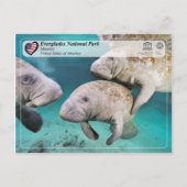 UNESCO WHS - Everglades National Park - Manatee Briefkaart (Voorkant)