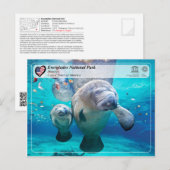 UNESCO WHS - Everglades National Park - Manatee Briefkaart (Voorkant / Achterkant)