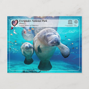 UNESCO WHS - Everglades National Park - Manatee Briefkaart