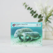 UNESCO WHS - Everglades National Park - Manatee Briefkaart (Staand voorkant)