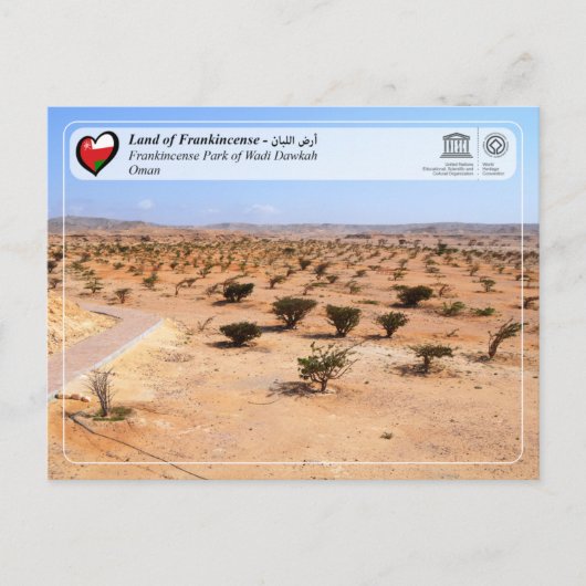 UNESCO WHS - Frankincense Park van Wadi Dawkah Briefkaart (Voorkant)
