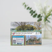 UNESCO WHS - Furuichi - Aoyama Kofun - 青 山 墳 Briefkaart (Staand voorkant)