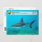 UNESCO WHS - Galápagos Islands - Galapagos Shark Briefkaart (Voorkant / Achterkant)