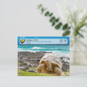 UNESCO WHS - Galápagos Islands - Giant Tortoise Briefkaart (Staand voorkant)