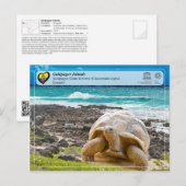 UNESCO WHS - Galápagos Islands - Giant Tortoise Briefkaart (Voorkant / Achterkant)