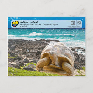 UNESCO WHS - Galápagos Islands - Giant Tortoise Briefkaart