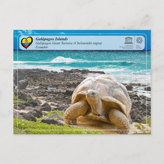 UNESCO WHS - Galápagos Islands - Giant Tortoise Briefkaart (Voorkant)