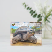 UNESCO WHS - Galápagos Islands - Giant Tortoise Briefkaart (Staand voorkant)