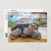 UNESCO WHS - Galápagos Islands - Giant Tortoise Briefkaart (Voorkant / Achterkant)