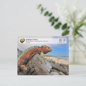 UNESCO WHS - Galápagos Islands - Marine Iguana Briefkaart (Staand voorkant)