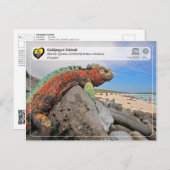 UNESCO WHS - Galápagos Islands - Marine Iguana Briefkaart (Voorkant / Achterkant)