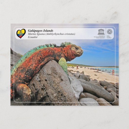 UNESCO WHS - Galápagos Islands - Marine Iguana Briefkaart (Voorkant)