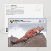 UNESCO WHS - Galápagos Islands - Marine Iguana Briefkaart (Voorkant / Achterkant)