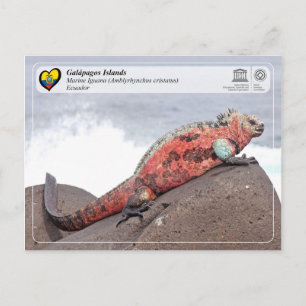 UNESCO WHS - Galápagos Islands - Marine Iguana Briefkaart