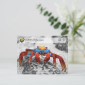 UNESCO WHS - Galápagos Islands - Red Rock Crab Briefkaart (Staand voorkant)