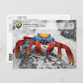 UNESCO WHS - Galápagos Islands - Red Rock Crab Briefkaart (Voorkant / Achterkant)