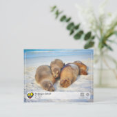 UNESCO WHS - Galápagos Islands - Zee Lions Briefkaart (Staand voorkant)